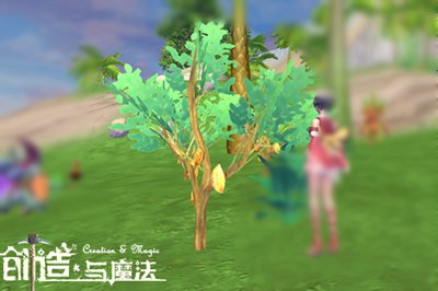 《创造与魔法》可可豆有什么用？可可豆位置分布