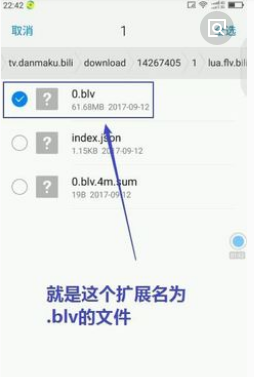《哔哩哔哩》下载视频保存位置