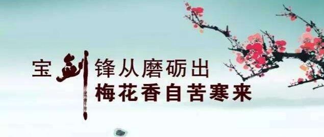 《致良知》每日心得感悟大全