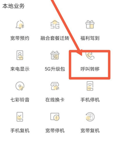《电信营业厅》呼叫转移设置方法