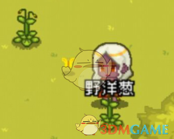 《像素时代》新手家园选择推荐介绍