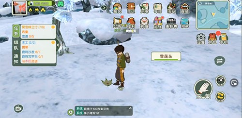 《小森生活》雪莲刷新位置介绍