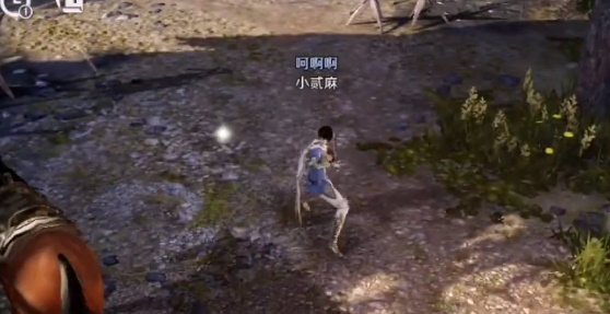 《黑色沙漠手游》三处鹰的痕迹位置分享