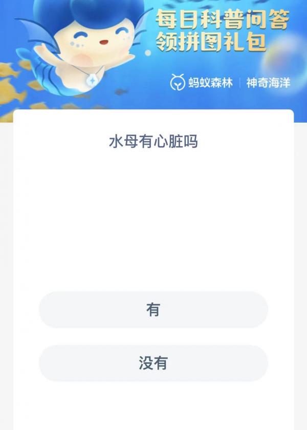 水母有心脏吗