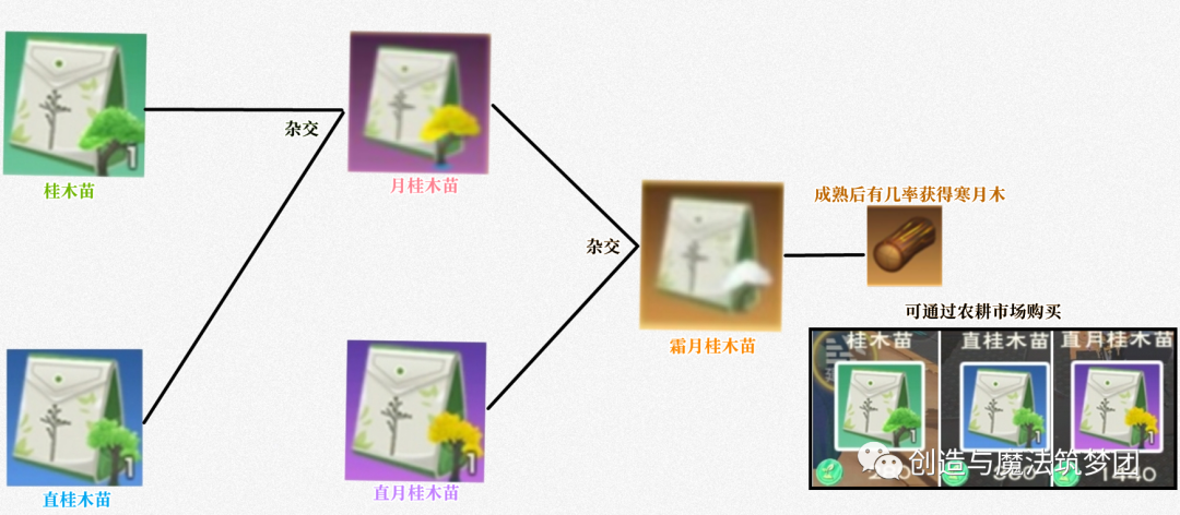 《创造与魔法》星神阿斯特奥斯技能强度解析