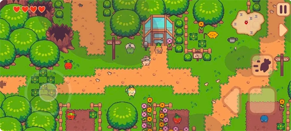 《大头菜菜历险记》心果获取方法位置