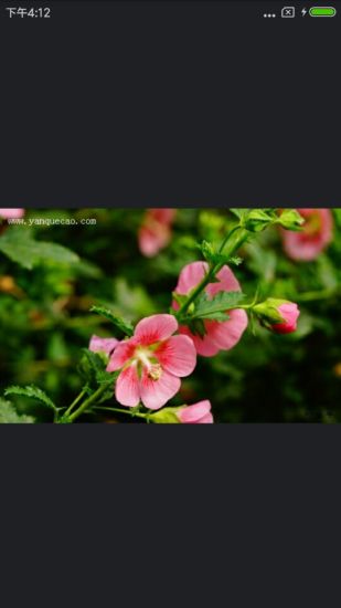 植物百科手机软件app截图